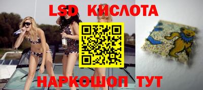 гашик Волгодонск