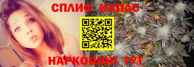 гашик Волгодонск