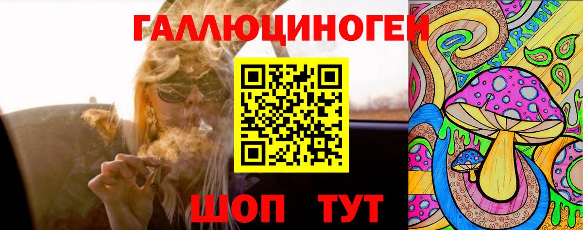 Галлюциногенные грибы прущие грибы Елабуга