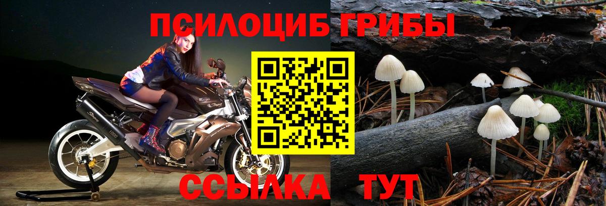 ГАШ  Елабуга  Бошки Шишки  NBOMe  Кокаин  ТГК  Бошки Шишки  МЕФ кристаллы  КОКАИН  Вход с VPN 