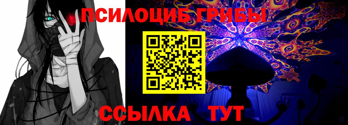 Галлюциногенные грибы прущие грибы Елабуга