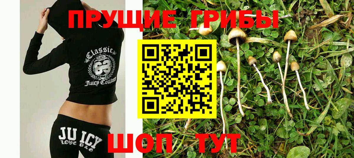 Галлюциногенные грибы прущие грибы  Елабуга  Псилоцибиновые грибы ЛСД 